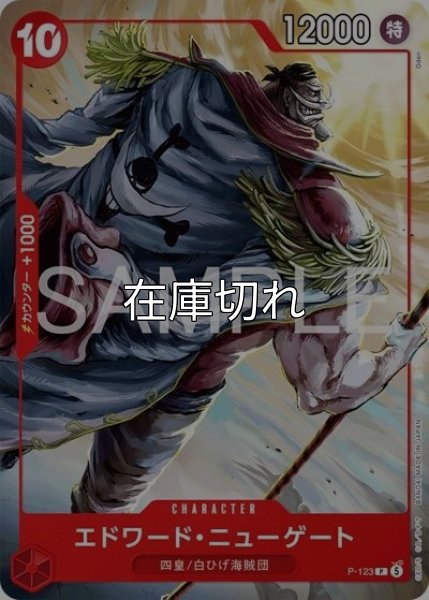 エドワード・ニューゲート（P-123 P） 状態A